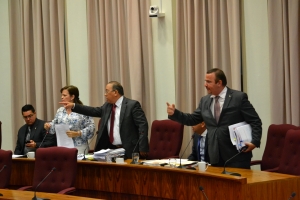 Tratando presupuesto