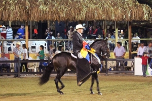 Organisacion Cabayista Arubano a anuncia Interpaso 2014