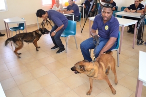 Certificacion manehadornan di cacho di St Maarten na Aruba