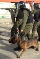 Justitie Bijstandsteam en K9-unit ontwikkelen zich snel op Aruba