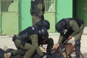 Justitie Bijstandsteam en K9-unit ontwikkelen zich snel op Aruba
