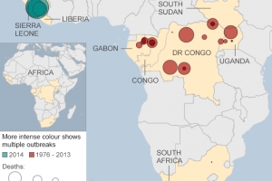 Docternan infecta cu virus Ebola na caminda pa Merca