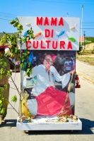 Culturele parade in buurtcentrum Brazil