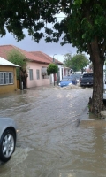 Ola tropical a percura pa yobida na Aruba