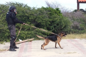 Entrenamento uni di varios entidad tumando lugar na Aruba