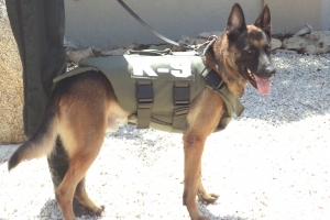 Tur 7 cacho di unidad di seguridad di KIA ekipa cu bulletproof vest awor
