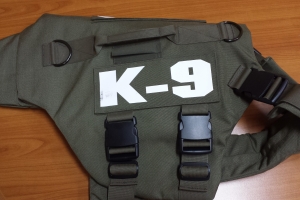 Tur 7 cacho di unidad di seguridad di KIA ekipa cu bulletproof vest awor