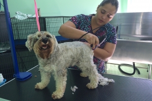 Manager 'Just 4 Pet' : Doñonan di cacho conciente di ley di cacho y preparando pe