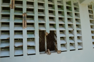 Enbes di traha prison nobo, lo upgrade edificio actual di KIA