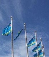 Geen respect voor Arubaanse vlag