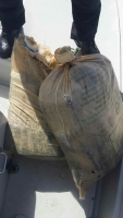 Hopi droga confisca riba 'Go Fast' cu a bolter zuid di Bonaire