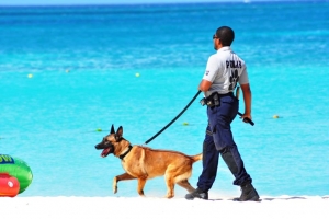 Strandpolitie y Unidad K-9 a tene control banda di laman