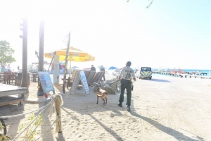 Strandpolitie y Unidad K-9 a tene control banda di laman