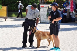 Strandpolitie y Unidad K-9 a tene control banda di laman