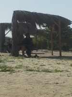 Turistanan sorprendi cu entrenamento militar na Baby Beach
