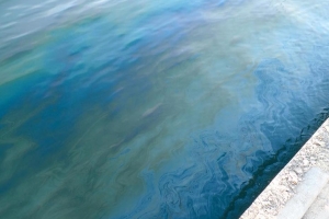 Oil Spill na Barcadera a haci daño, pero ta contene 