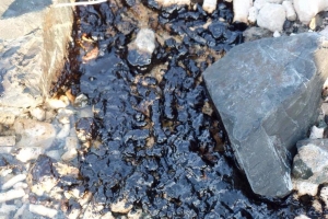 Oil Spill na Barcadera a haci daño, pero ta contene 