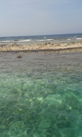 WEB: No por determina grandura di e oil spill, aunke e daño haci no ta grandi