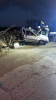 Hobencito (14) a bira di 4 morto di trafico di Corsou