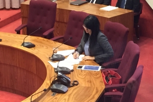 Parlamento tratando e dos topico di enseñansa hunto awe 
