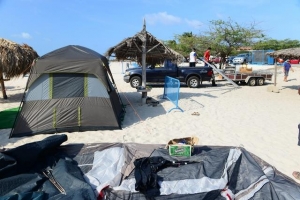 Cantidad di hende campando e aña aki ta menos