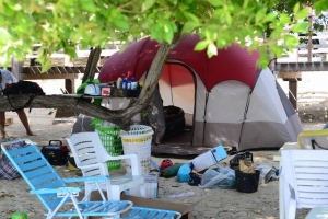 Cantidad di hende campando e aña aki ta menos