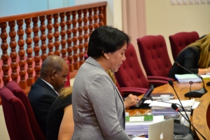 Tratamento di presupuesto 2015 di pais Aruba a cuminsa