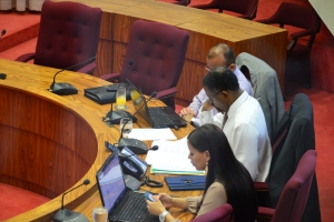 Tratamento di presupuesto 2015 di pais Aruba a cuminsa