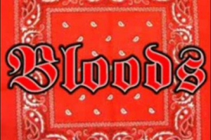 Problema entre gang di Bloods y Crips ta continua