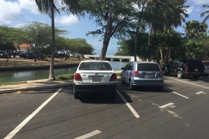 Varios reto riba prome dia di operacion cu parkeermeter 