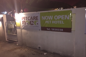 PetCare ta un concepto diferente di petshop na Aruba