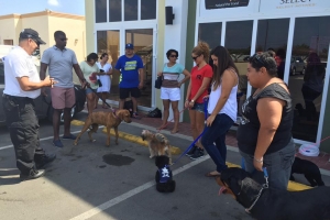 Petshop Just 4 Pet a habri su portanan oficialmente den weekend