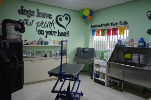 Petshop Just 4 Pet a habri su portanan oficialmente den weekend