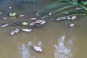 Situacion di sluis habri na Bubali Plas tin hopi hende preocupa