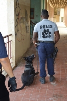  Experto K9 di Belgica impresiona cu unidad di K9 di KPA