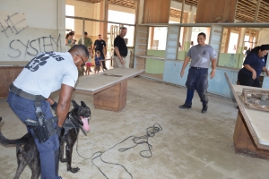 Experto K9 di Belgica impresiona cu unidad di K9 di KPA