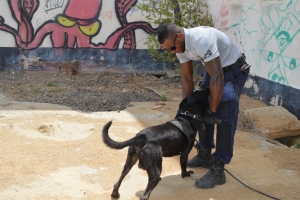  Experto K9 di Belgica impresiona cu unidad di K9 di KPA