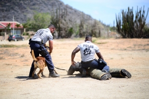 Mas scol cerando conoci cu capacidad di cachonan policial local 