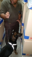 Cachonan di KIA y douane a pasa control di calidad hulandes exitosamente