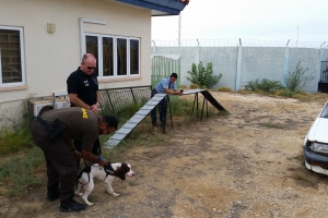 Cachonan di KIA y douane a pasa control di calidad hulandes exitosamente