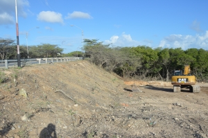 Protesta contra destruccion di medio ambiente a sigui awe