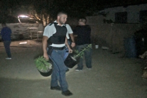 Polis a detene dos persona y confisca matanan di marihuana