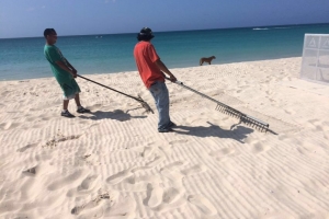 Trabounan di limpiesa di beach despues di Flip Flop a cuminsa trempan