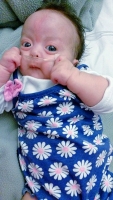 Baby Lunah preparando pa bolbe Aruba
