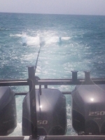 A rescata pareha riba un "Hobby Cat" tras di lighthouse