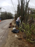 Pop up-Clean activo na Tanki Leendert den weekend