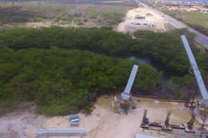 DOW: Cortamento mangrove ta segun regla internacional   