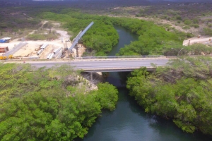 DOW: Cortamento mangrove ta segun regla internacional   