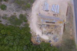 DOW: Cortamento mangrove ta segun regla internacional   