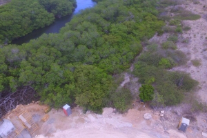 DOW: Cortamento mangrove ta segun regla internacional   
